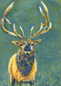 Bull Elk